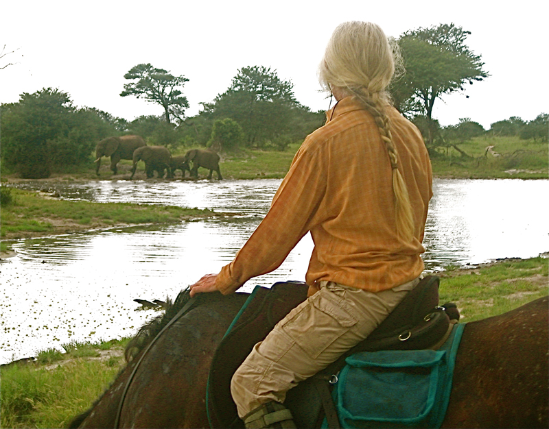 Oriane Lee Johnston, Vilanculos Mozambique africa, holidays on horseback, horse riding africa, horse riding abroad, swimming horseback, Varden Safaris horseback, Mavuradonha Wilderness, african horseback