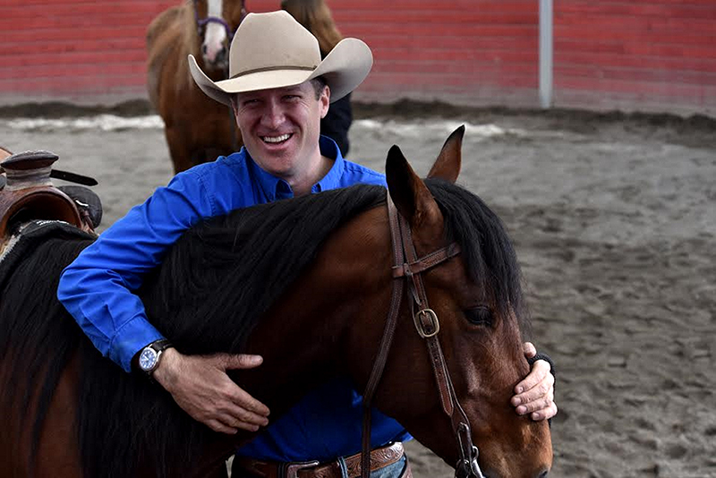 injured horse, trick training horse, non-riding horse activities, teaching horse manners, jonathan field, how to handwalk a horse