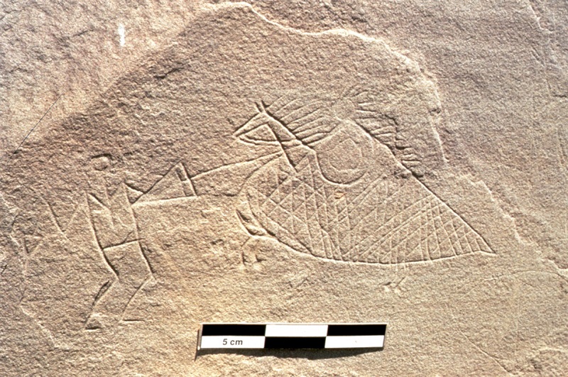 Horse Changed West, Todd Kristensen, Jack Brink, horse extinction in Alberta Canada, palaeontology, horse history Canada, history horses in canada, Mexican horse, Equus conversidens, domestic horse alberta canada