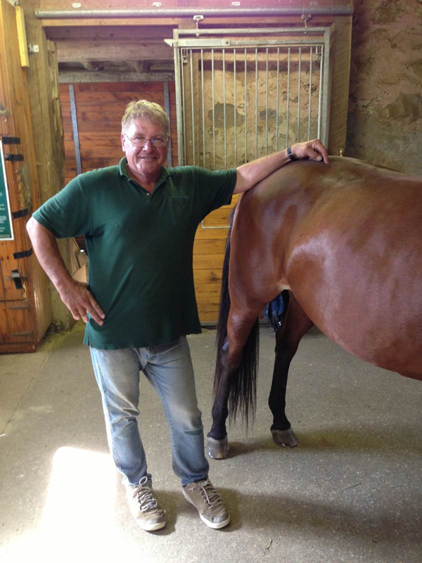 horse shoeing, equine shoeing, horse trimming, hoof trimming, horse stifles, hanz wiza, hoof problems