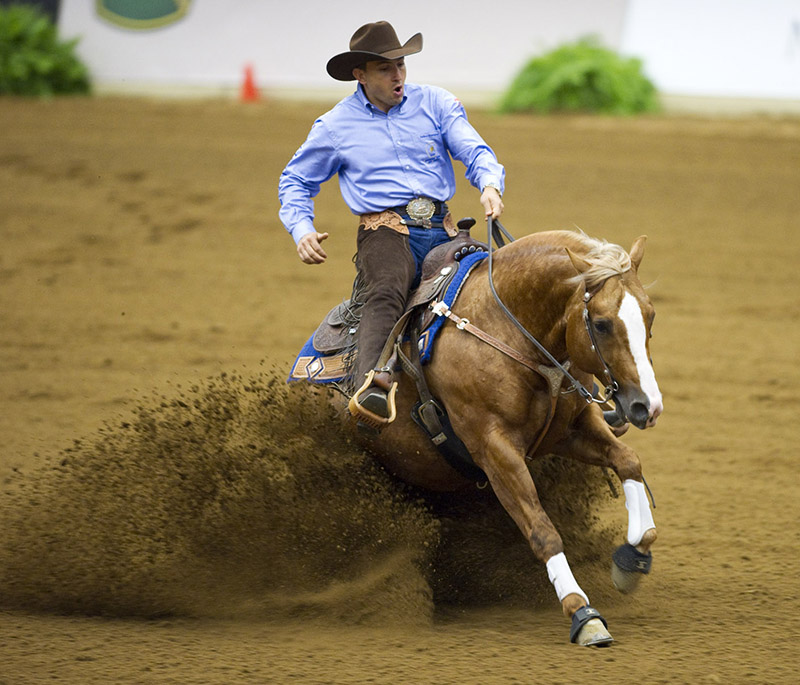 dressage arena footing, horse lameness, Ellen Koch Alex Milne Associates, dressage arena Subsurface preparation, dressage arena footing hazards, Tara Kathol Conterra Industries