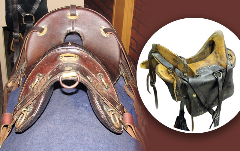 Girls Outnumber Boys horse riding, Jochen Schleese, horse riding, McClellan Saddle, horse riding erectile issues, George B. McClellan, dysfunction, Dr. James Warson