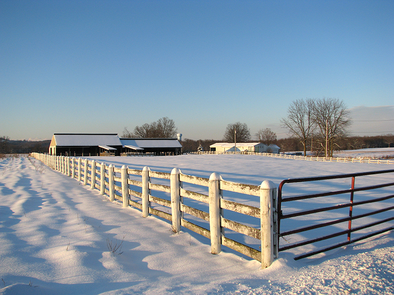 Horse Property Plan, update horse property, things to consider updating horse property, Jennifer Woodward, purchasing horse property, developing horse property, Horse Property Plan, update horse property, things to consider updating horse property, Jennifer Woodward, purchasing horse property, developing horse property,