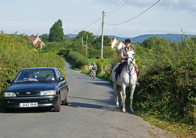 horse trail riding tips, horse riding near home, trail riding young horse horse trail riding tips, horse riding near home, trail riding young horse