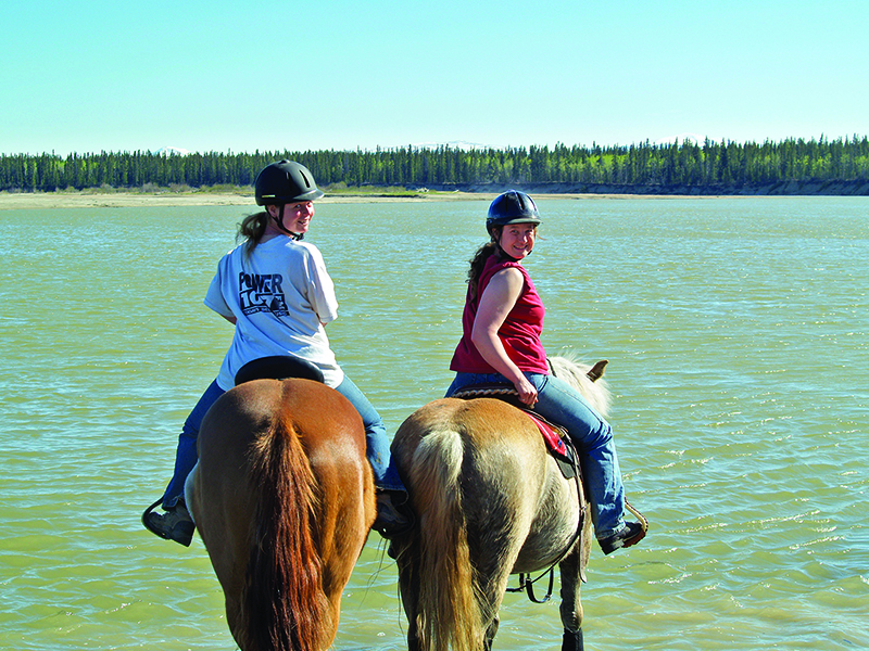 northern lights, aurora borealis, yukon horse, modern Equus, 