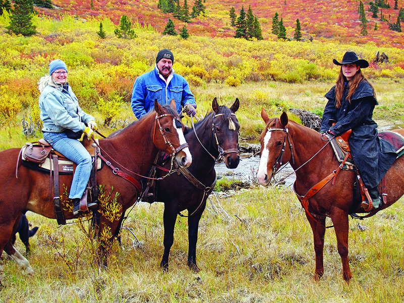 northern lights, aurora borealis, yukon horse, modern Equus, 