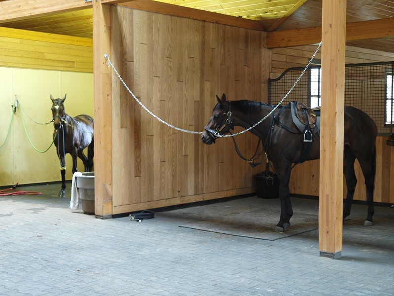 Horse Careers, equine careers, Equine Appraiser, Thoroughbred Exercise Rider, equine auctioneer, Custom Saddler, Horse Hauler, Equine Surgeon, Equine Nutritionist, Equestrian Building Consultant, horse-related careers, horse-related jobs