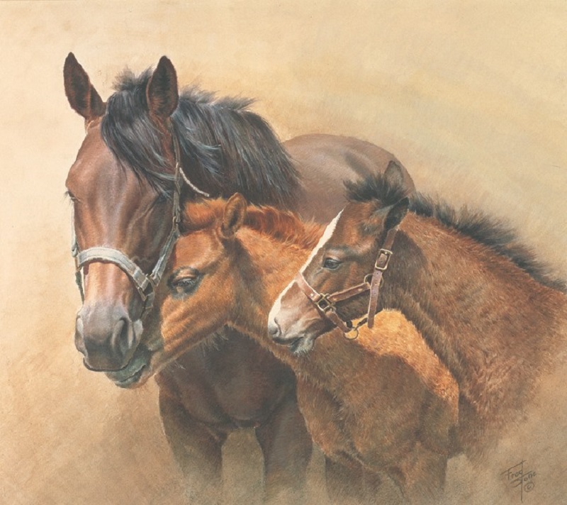 Equine artist Fred Stone death 2019, artist fred stone passes away Equine artist Fred Stone death 2019, artist fred stone passes away