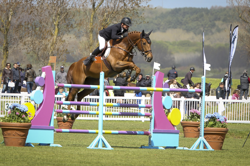 Phedras de Blondel, how to secure horse farm, horse theft, horse slaughter, horse thief, Grand Prix rider Deborah Stephens, 12-year-old CSI**** level show jumper Phedras de Blondel, Harold Metcalfe, Debi Metcalfe, protect your horse, horse meat