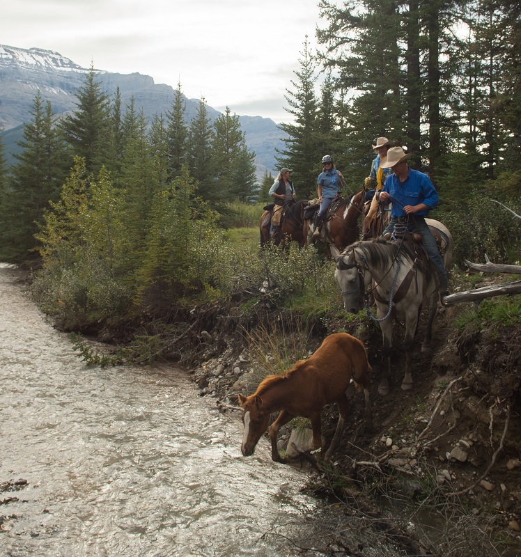 Shawn Hamilton, Wild Deuce Outfitters, Rocky Mountains Alberta,  Bighorn Backcountry, Wild Deuce Women’s Retreat, Clix Photography, Horse riding holidays, canadian riding holidays, canadian horse holiday, equestrian vacations, horses in the rockies