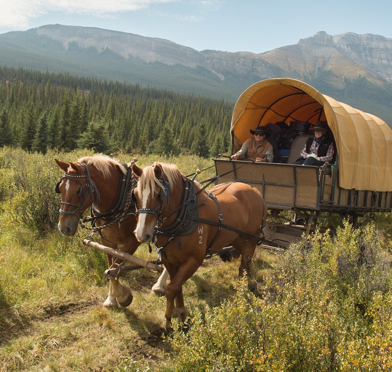 Shawn Hamilton, Wild Deuce Outfitters, Rocky Mountains Alberta,  Bighorn Backcountry, Wild Deuce Women’s Retreat, Clix Photography, Horse riding holidays, canadian riding holidays, canadian horse holiday, equestrian vacations, horses in the rockies