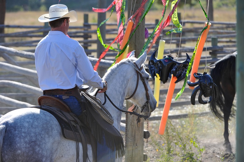 Jonathan Field, Jonathan Field Purpose Camp, Build Confidence in Your Horse, Cone on a Barrel horse exercise, horse jump over log, improve technical horse skills, horse obstacles, increase confidence in horse