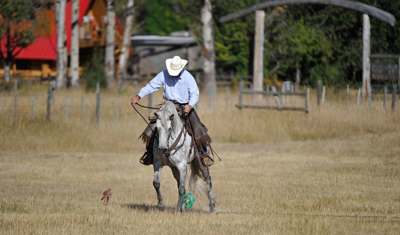 Jonathan Field, Jonathan Field Purpose Camp, Build Confidence in Your Horse, Cone on a Barrel horse exercise, horse jump over log, improve technical horse skills, horse obstacles, increase confidence in horse