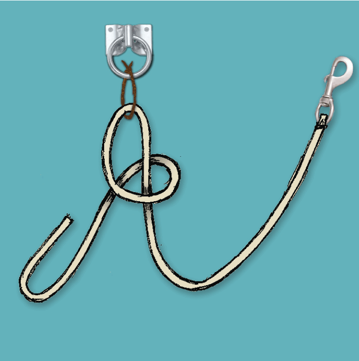 how to tie quick release knot, quick release knot, horse rope knot, equine knot