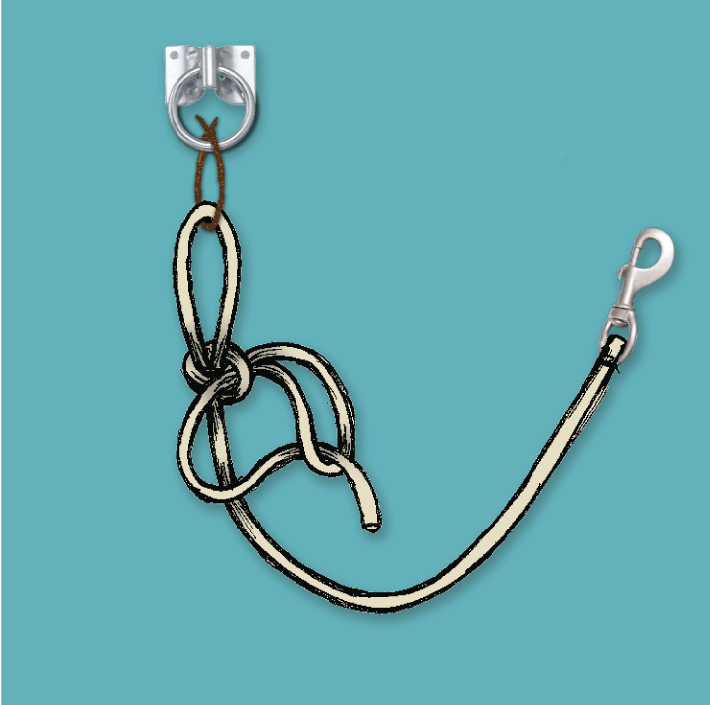 how to tie quick release knot, quick release knot, horse rope knot, equine knot
