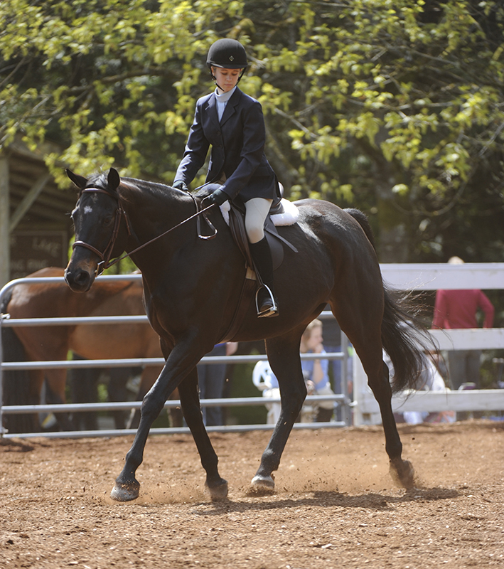 dressage arena footing, horse lameness, Ellen Koch Alex Milne Associates, dressage arena Subsurface preparation, dressage arena footing hazards, Tara Kathol Conterra Industries