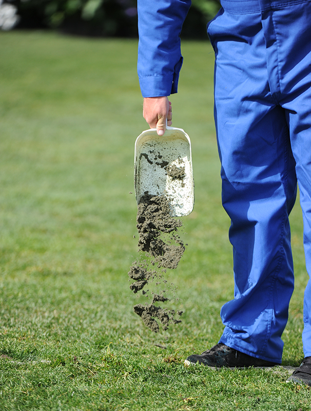 dressage arena footing, horse lameness, Ellen Koch Alex Milne Associates, dressage arena Subsurface preparation, dressage arena footing hazards, Tara Kathol Conterra Industries