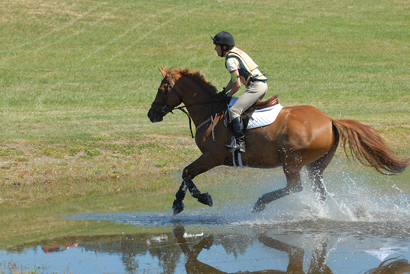 starting out right horse foot, nancy tapley, horse warm-up, Karen brain, horse riding technique, horse training 