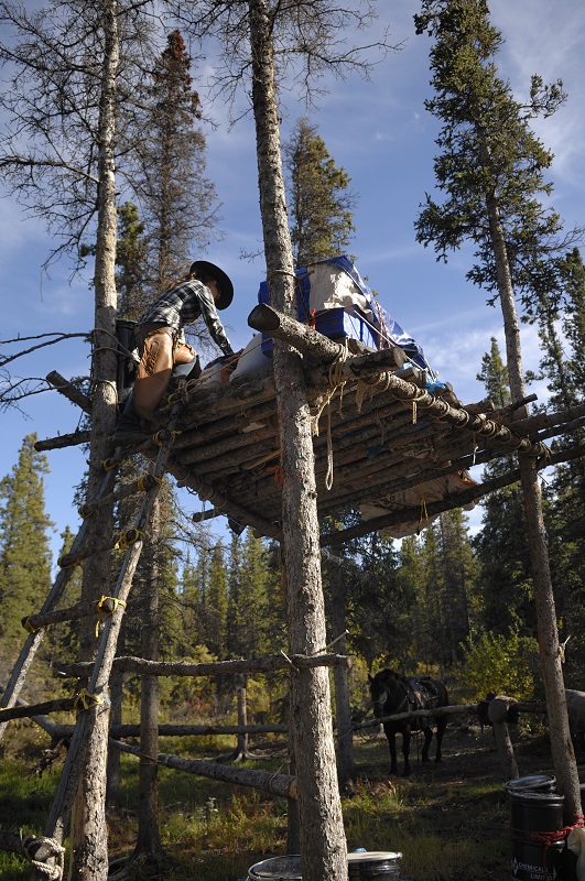Shawn Hamilton, horse holidays, horse holidaying, equine holidays, canadian wilderness, Yukon Horsepacking Adventures, whitehorse horse riding