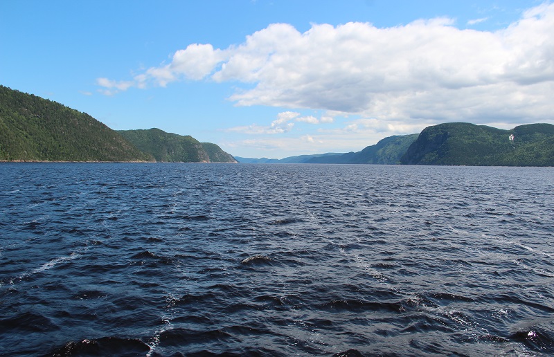 wildfire prepared, flood prepared, earthquake prepared, Fort McMurray fire, emergency evacuation, natural disasters, emergency preparedness plan, returning home after natural disaster, horse ID, horse safety