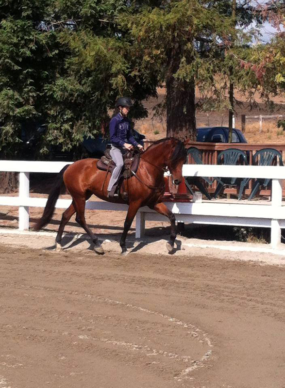 Jec A. Ballou, Giddy’up, Bon Voyage equine travel, travelling overseas with horse, equine travel, horse riding overseas, Jec Ballou horse trainer, jec aristotle ballou, western dressage, jec ballou, dressage exercises for horse and rider, jec ballou equine fitness beyond horse massage