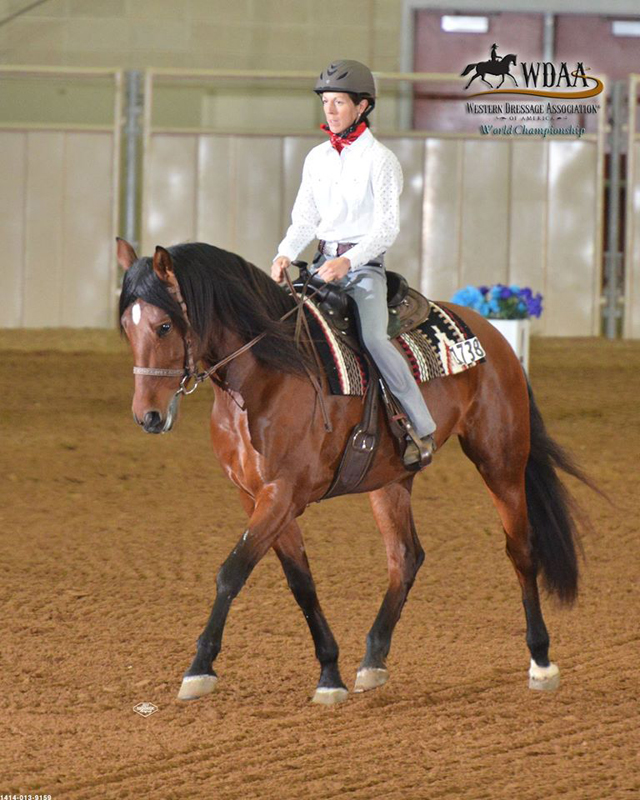 Jec A. Ballou, Giddy’up, Bon Voyage equine travel, travelling overseas with horse, equine travel, horse riding overseas, Jec Ballou horse trainer, jec aristotle ballou, western dressage, jec ballou, dressage exercises for horse and rider, jec ballou equine fitness beyond horse massage