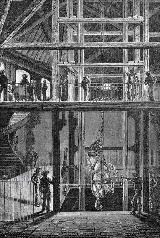 Pit Ponies, Pit Horses, pit pony history, miner Ceri Thompson, Canadian Coal Mining history, Sable Island, underground stables, Underground haulage, Coal Mining Canada