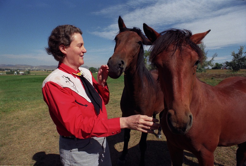 Animal Behaviour Expert Dr. Temple Grandin, Temple Grandin, livestock handling, animal fear vs animal aggression, understanding equine behaviour, Animal Sciences at Colorado State University, Teresa van Bryce, Grandin autism, Grandin animal behaviour, horse psychology