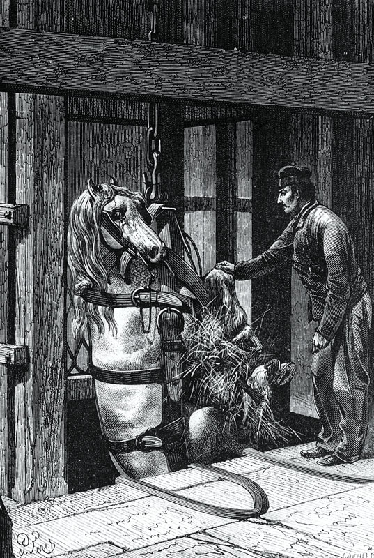 Pit Ponies, Pit Horses, pit pony history, miner Ceri Thompson, Canadian Coal Mining history, Sable Island, underground stables, Underground haulage, Coal Mining Canada
