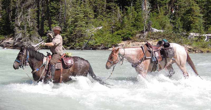Traversing Canadian Rockies, Tania Millen, holidays on horseback, Alberta pack-trip, Azure Lake, Sulphur River, Jasper National Park, Summit pass, crossing Chown Creek