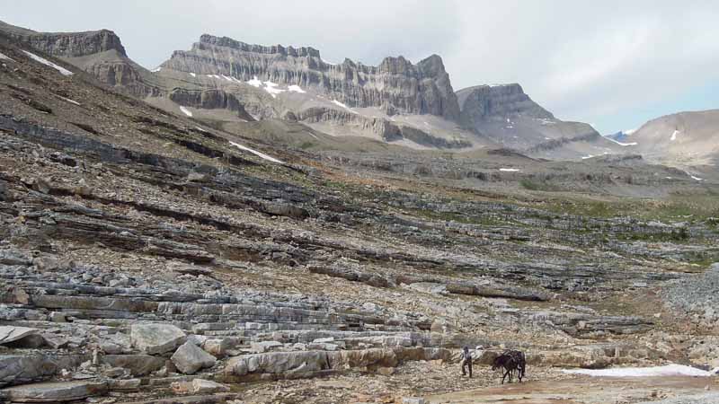 Traversing Canadian Rockies, Tania Millen, holidays on horseback, Alberta pack-trip, Azure Lake, Sulphur River, Jasper National Park, Summit pass, crossing Chown Creek