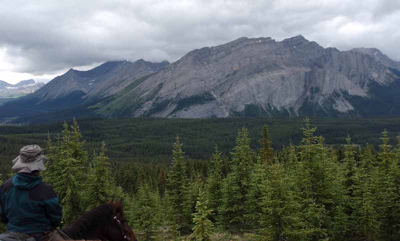 Traversing Canadian Rockies, Tania Millen, holidays on horseback, Alberta pack-trip, Azure Lake, Sulphur River, Jasper National Park, Summit pass, crossing Chown Creek