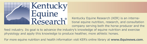 Equine digestive tract, horse digestive system, Kentucky Equine Research, equine esophagus, equine fluid absorption, horse care, equine stomach, horse stomach, equine digestion