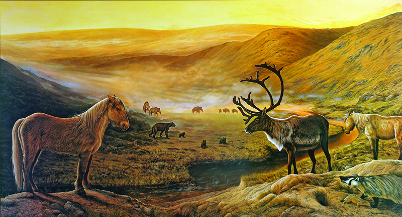 northern lights, aurora borealis, yukon horse, modern Equus, 