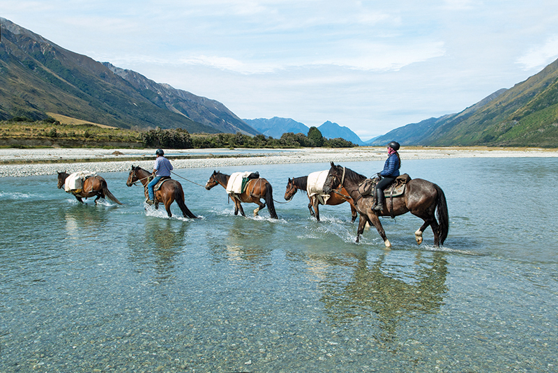 riding vacations, holidays with horses, wild women exhibitions horse rides, new zealand riding vacations, shawn hamilton