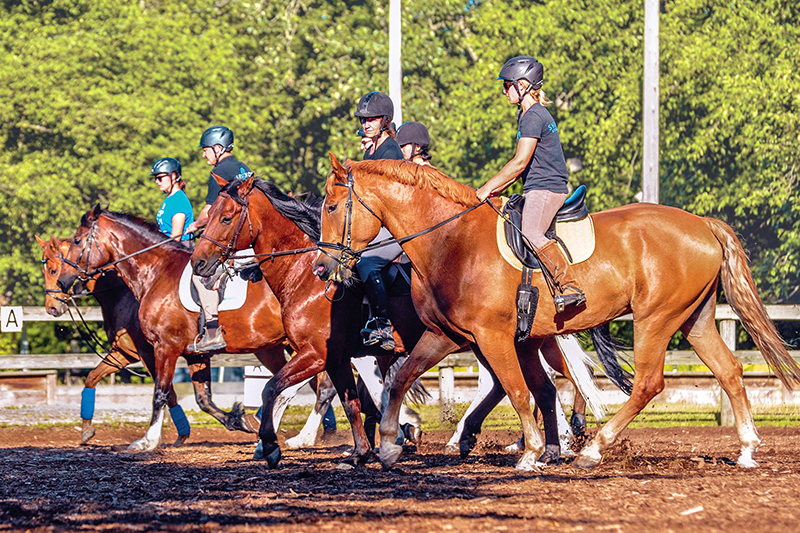 Southlands Riding Club in Vancouver BC, Southlands Riding Club president Whitney Santos, not-for-profit horse riding clubs in BC