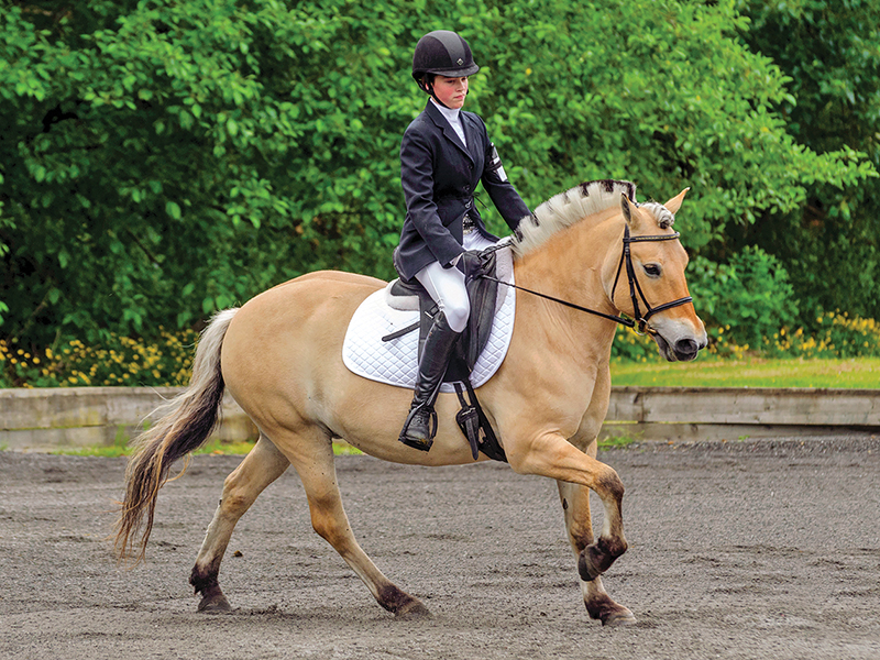 Southlands Riding Club in Vancouver BC, Southlands Riding Club president Whitney Santos, not-for-profit horse riding clubs in BC