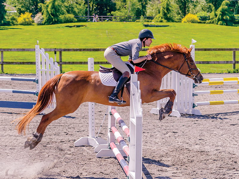 Southlands Riding Club in Vancouver BC, Southlands Riding Club president Whitney Santos, not-for-profit horse riding clubs in BC