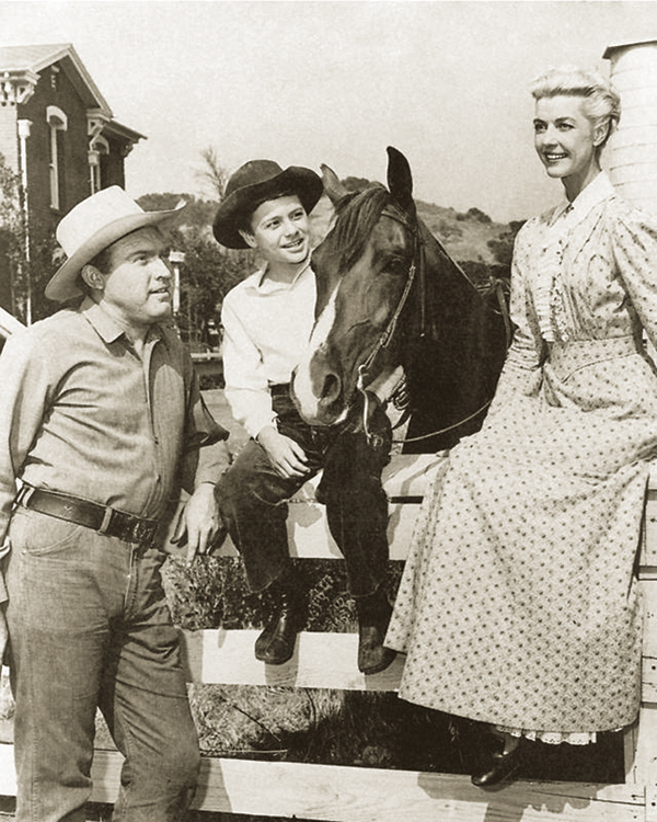 horses used in hollywood movies, the black stallion, seabisquit, national velvet, ben-hur, gladiator, john scott productions, legends of the fall, heartland, war horse, devil's horseman