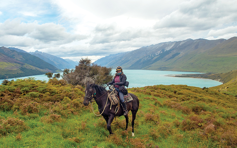 riding vacations, holidays with horses, wild women exhibitions horse rides, new zealand riding vacations, shawn hamilton