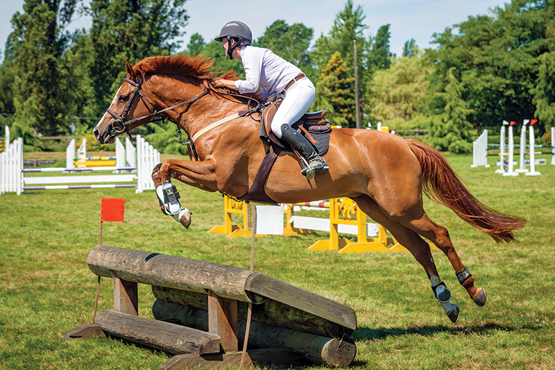 Southlands Riding Club in Vancouver BC, Southlands Riding Club president Whitney Santos, not-for-profit horse riding clubs in BC