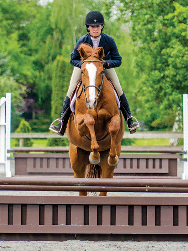 Southlands Riding Club in Vancouver BC, Southlands Riding Club president Whitney Santos, not-for-profit horse riding clubs in BC