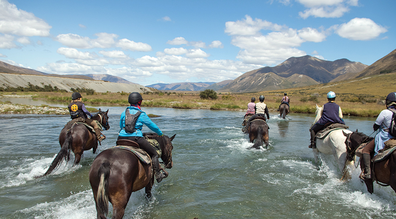 riding vacations, holidays with horses, wild women exhibitions horse rides, new zealand riding vacations, shawn hamilton