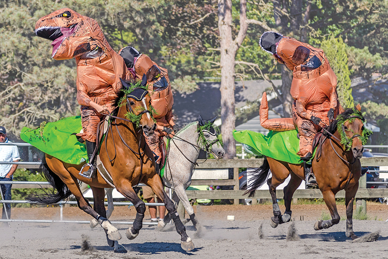 Southlands Riding Club in Vancouver BC, Southlands Riding Club president Whitney Santos, not-for-profit horse riding clubs in BC