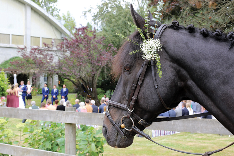 Southlands Riding Club in Vancouver BC, Southlands Riding Club president Whitney Santos, not-for-profit horse riding clubs in BC