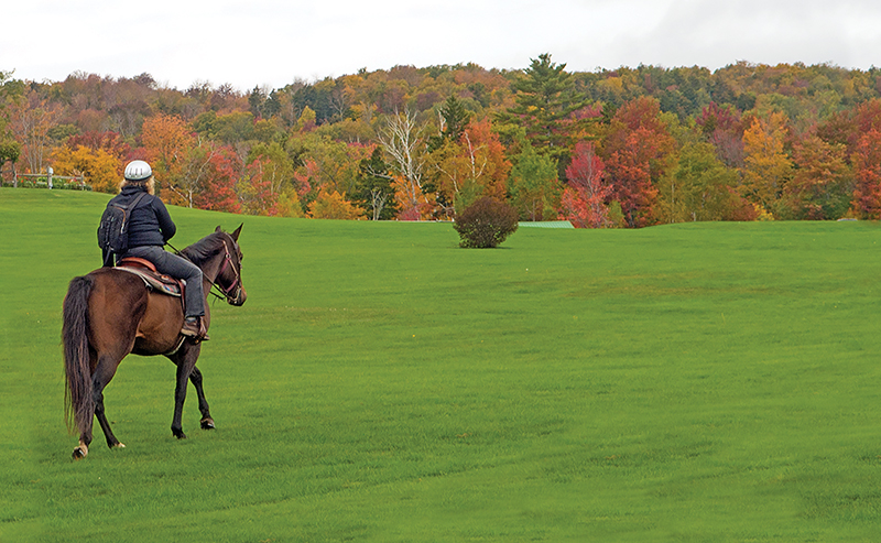 horse riding holidays in vermont, best places horse holiday, horseback riding holidays usa, horse riding in the fall, shawn hamilton, vermont icelandic horse farm