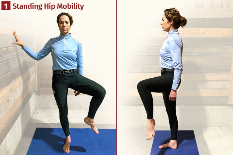 exercises for horse riders, pilates for horse riders, mobility for horse riders, exercises for hip mobility, equestrian sport fitness, sandra verda zanatta, fit to ride 