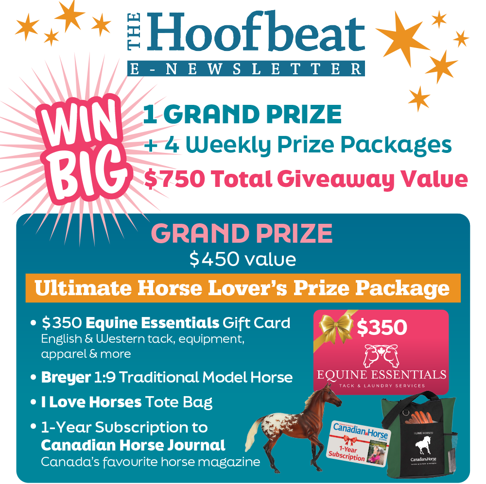 horse contests