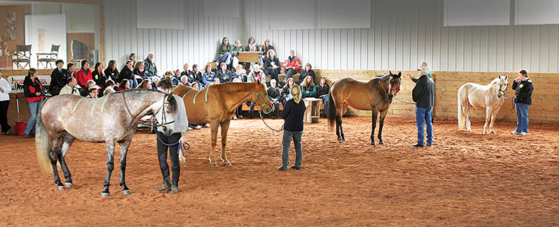 canadian therapeutic riding association national conference, cantra conference olds alberta
