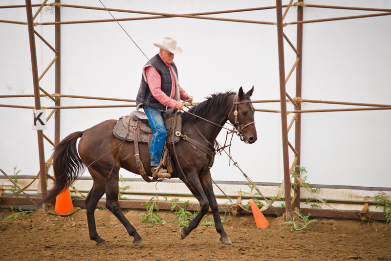 Retraining Thoroughbreds, new careers Thoroughbreds, Barbara Sheridan Equine Guelph, Garry Westergaard, Priscilla Clark Tranquility Farm, thoroughbred career change, Jocelyn Inglehart, Wendy Muir, Jane Avril 
